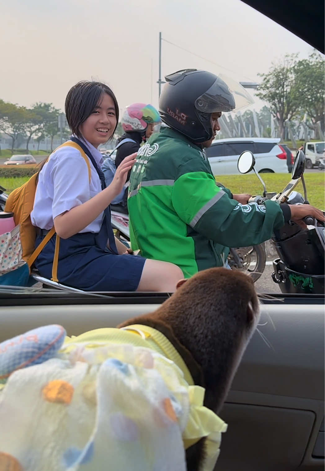 Degen the otter in a yellow ruffled outfit looking out at a schoolgirl and a delivery driver